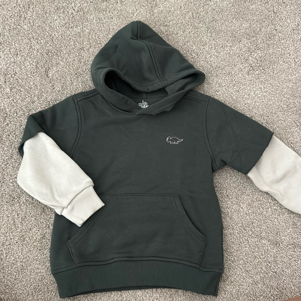 Toddler Boys Dinosaur Hoodie